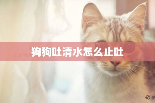 狗狗吐清水怎么止吐