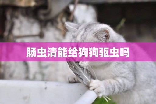 腸蟲清能給狗狗驅蟲嗎