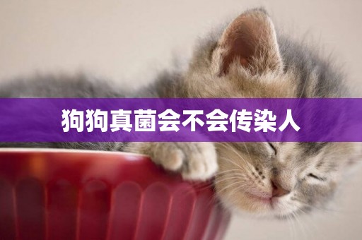狗狗真菌會不會傳染人