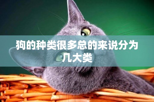 狗的種類很多總的來說分為幾大類