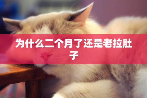 為什么二個月了還是老拉肚子