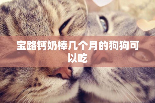 寶路鈣奶棒幾個月的狗狗可以吃