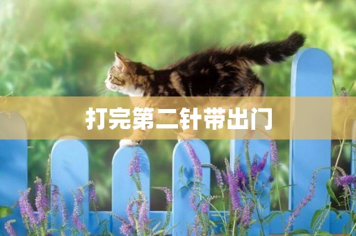 打完第二針帶出門