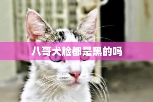 八哥犬臉都是黑的嗎