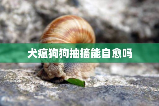 犬瘟狗狗抽搐能自愈嗎
