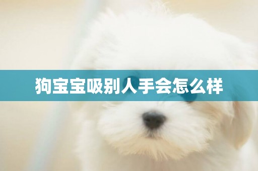狗寶寶吸別人手會怎么樣