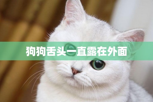 狗狗舌頭一直露在外面