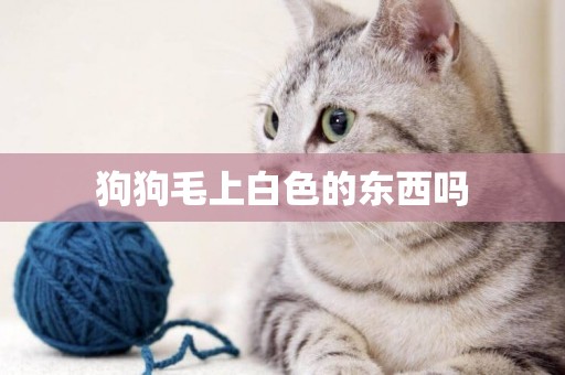 狗狗毛上白色的東西嗎