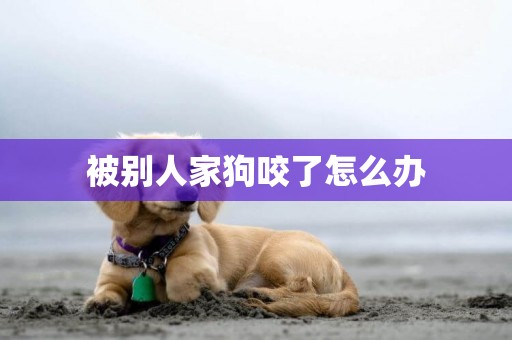 被別人家狗咬了怎么辦