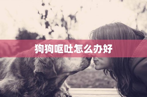 狗狗嘔吐怎么辦好
