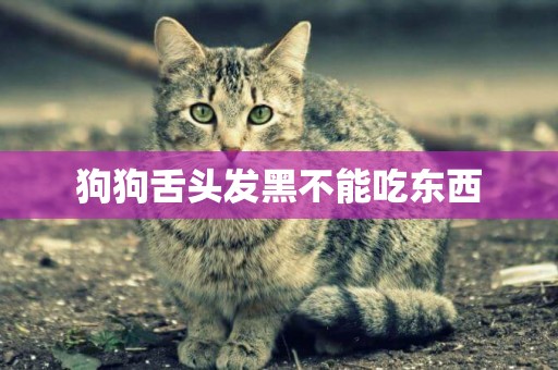 狗狗舌頭發黑不能吃東西