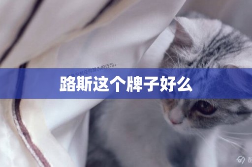 路斯這個牌子好么