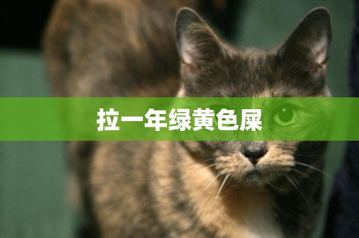 拉一年綠黃色屎