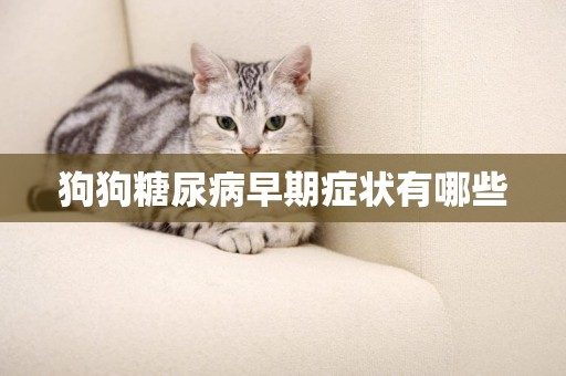 狗狗糖尿病早期癥狀有哪些
