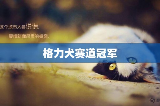 格力犬賽道冠軍
