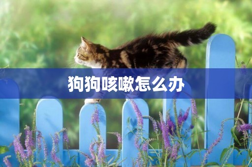 狗狗咳嗽怎么辦
