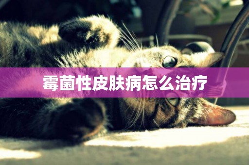 霉菌性皮膚病怎么治療