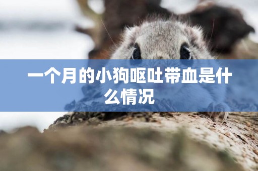 一個月的小狗嘔吐帶血是什么情況