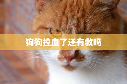 狗狗拉血了還有救嗎