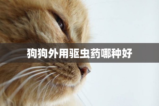 狗狗外用驅蟲藥哪種好