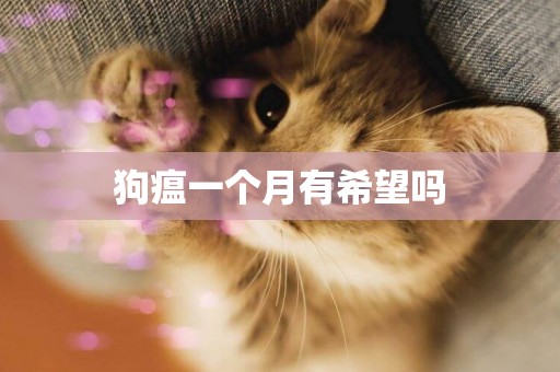 狗瘟一個月有希望嗎