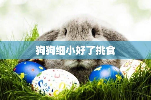 狗狗細小好了挑食