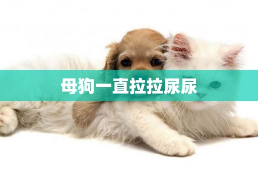 母狗一直拉拉尿尿