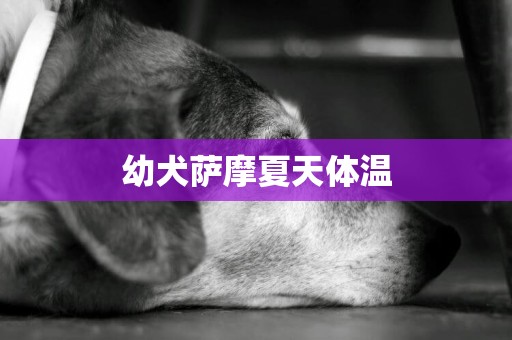 幼犬薩摩夏天體溫
