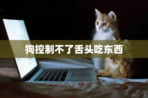 狗控制不了舌頭吃東西
