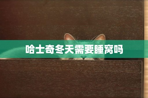 哈士奇冬天需要睡窩嗎