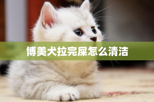 博美犬拉完屎怎么清潔