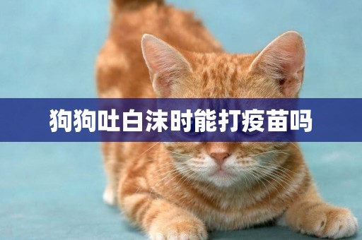 狗狗吐白沫時能打疫苗嗎