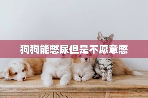 狗狗能憋尿但是不愿意憋