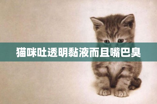 貓咪吐透明黏液而且嘴巴臭