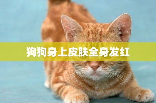狗狗身上皮膚全身發紅