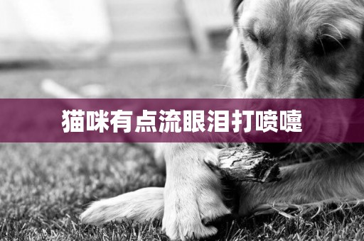 貓咪有點流眼淚打噴嚏