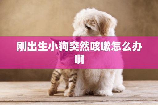 剛出生小狗突然咳嗽怎么辦啊