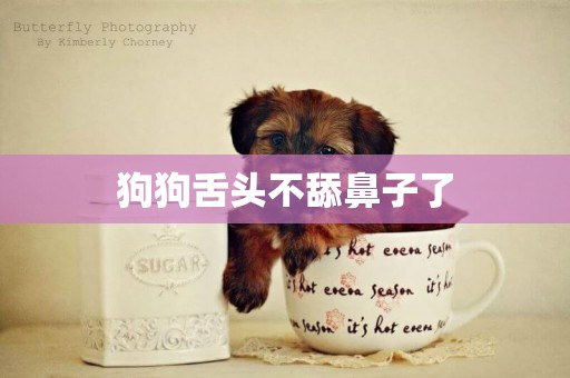 狗狗舌頭不舔鼻子了