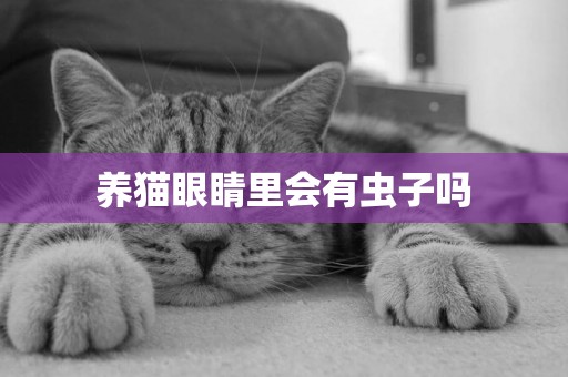 養貓眼睛里會有蟲子嗎
