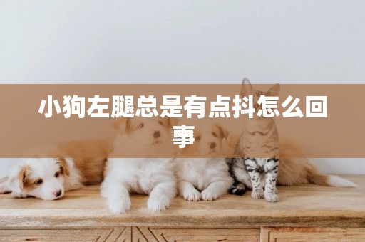 小狗左腿總是有點抖怎么回事