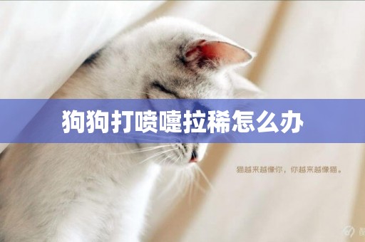 狗狗打噴嚏拉稀怎么辦