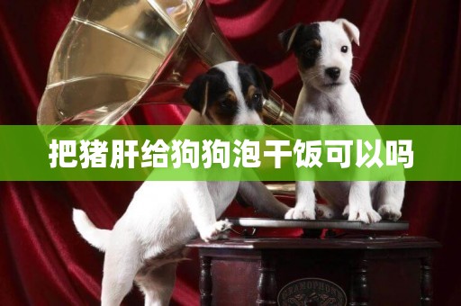 把豬肝給狗狗泡干飯可以嗎