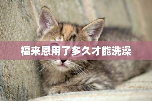 福來恩用了多久才能洗澡