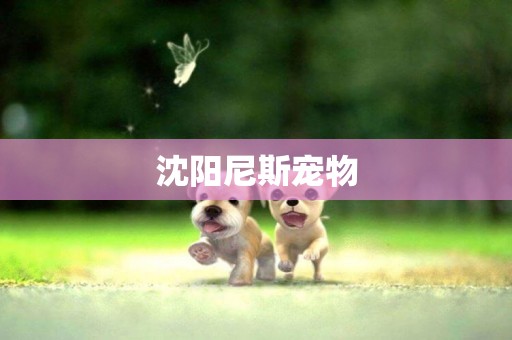 沈陽尼斯寵物