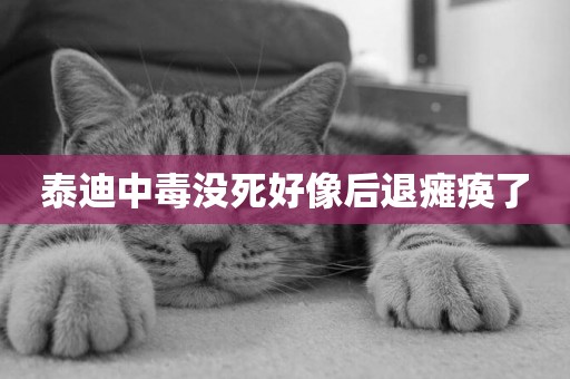 泰迪中毒沒死好像后退癱瘓了