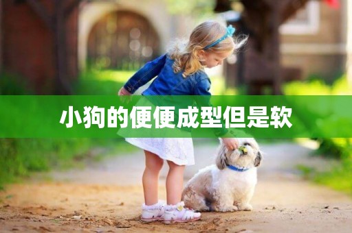 小狗的便便成型但是軟