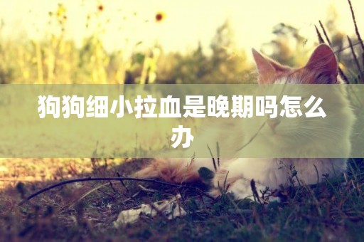 狗狗細小拉血是晚期嗎怎么辦