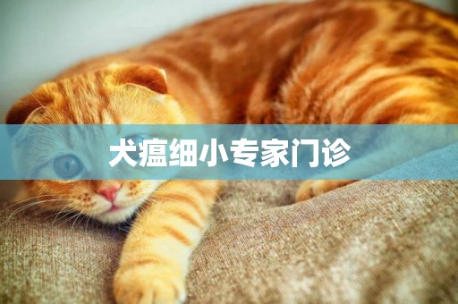 犬瘟細小專家門診