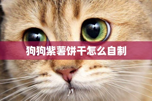 狗狗紫薯餅干怎么自制