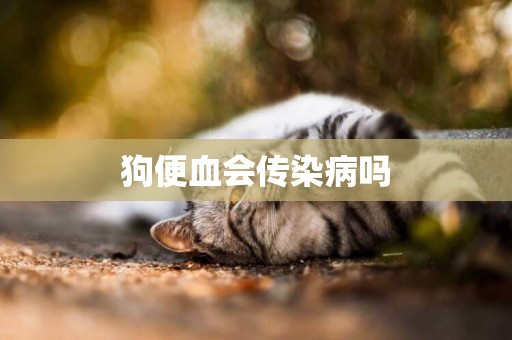 狗便血會傳染病嗎